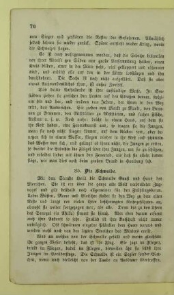 35. Die Schwalbe