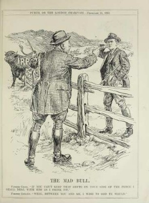 The mad bull