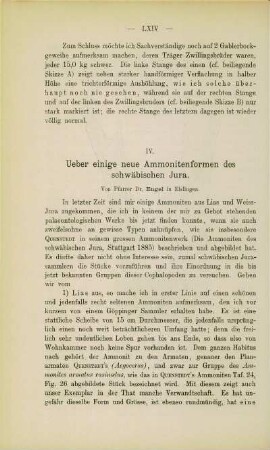 Über einige neue Ammonitenformen des schwäbischen Jura (Engel)