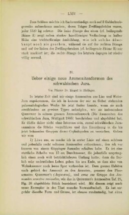 Über einige neue Ammonitenformen des schwäbischen Jura (Engel)