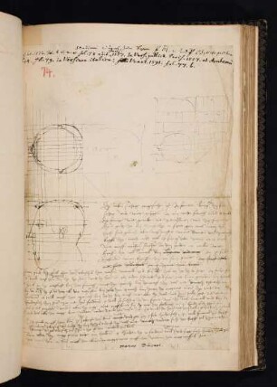 Albrecht Dürer, Skizze zur Konstruktion eines weiblichen Kopfes in Seitenansicht
