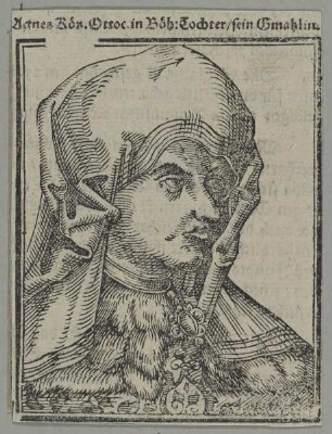 Bildnis der Agnes von Böhmen