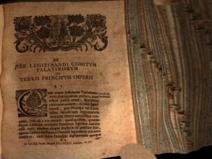 Exercitatio Jvris Pvblici De Jvre Legitimandi Comitvm Palatinorvm In Terris Principvm Imperii : = Vom Recht der Röm. Käys. Hof-Pfaltzgrafen unehelich geb. Kinder vor ehrlich zu erklären