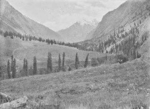 Tal : Ein Tal im Tian Shan Hochgebirge