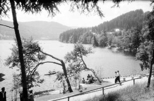 Titisee: Kurpromenade am See
