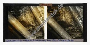 Zeche Neumühl, Hamborn, Concordia-Neumühlsprung im Flöz Girondelle