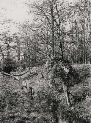 Elster-Luppe Regulierung, nach der Überschwemmung am alten Schützenhof, Leipzig 66