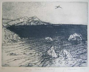 Steiniger Strand I (Lentos, mit Vogel)