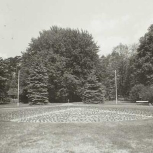 Park, Kolkwitz (Kreis Cottbus)