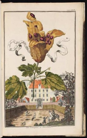 p. 244b Das Schlößlein in Steinbühl. - Ehemaliger Herrensitz Steinbühl, Nürnberg-Steinbühl