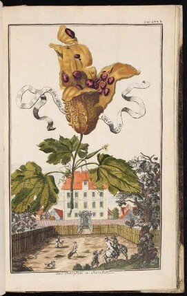 p. 244b Das Schlößlein in Steinbühl. - Ehemaliger Herrensitz Steinbühl, Nürnberg-Steinbühl