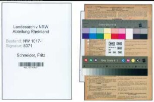 Entnazifizierung Fritz Schneider , geb. 25.11.1900 (Techniker)