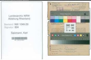 Entnazifizierung Karl Salzmann , geb. 09.10.1884 (Beamter)