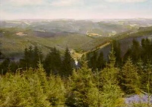 Thüringer Wald bei Eisenach (bei Lauterbach?). Blick bergab