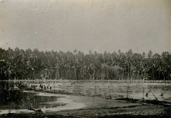 "Frühere Lagune, jetzt Fischteich, Nauru"