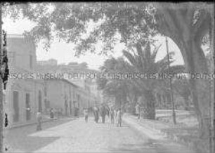 Straßenszene mit Spaziergängern und spielenden Kindern, üppige Palmen am Straßenrand und repräsentative Häuser auf den Hügeln, Südamerika-Cruise