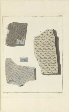 Tab. XI.