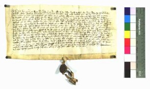 Lehenbrief von Hans von Zimmern für Conrad von Bubenhofen und seinen Sohn Marquard (Markart) um den Burgstall Tiefenberg mit den dazugehörigen Gütern.