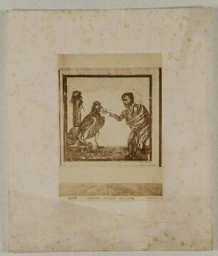 6379 Napoli - Museo Mosaico