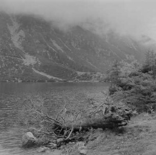 Hohe Tatra (Polen) (?). Bergsee?