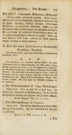 VI. Der Kratzer