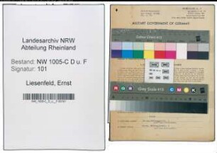 Entnazifizierung Ernst Liesenfeld , geb. 23.11.1898 (Oberfeuerwehrmann)