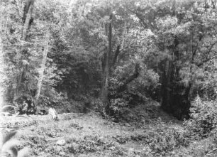 Im Wald : Blick über eine kleine Lichtung auf den Wald. Auf einer Mauer sitzt ein Mann mit Hut und Gehstock
