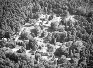 Dresden-Neustadt, Marienallee. Nordfriedhof (ehemaliger Garnisionsfriedhof; 1901 eröffnet). Luftbild-Schrägaufnahme nach Osten