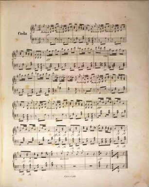 Kuckuck-Polka : für Piano-Forte ; op. 25