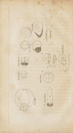 Abbildung: [verschiedene geometrische Figuren]