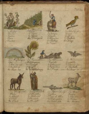 Tab: 22.