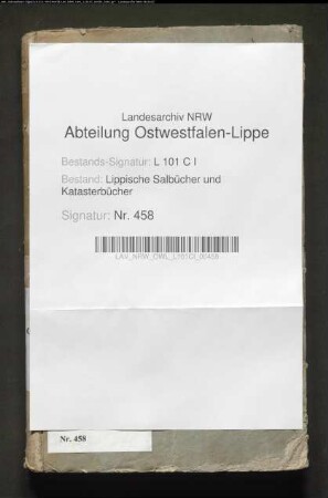 Salbuch der Vogtei Schieder von 1721