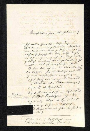 Handschriftliches Schreiben