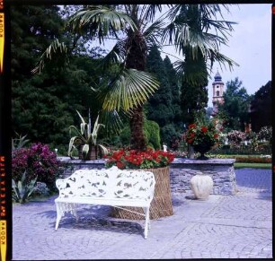 Insel Mainau: weiße Bank im Schlosspark