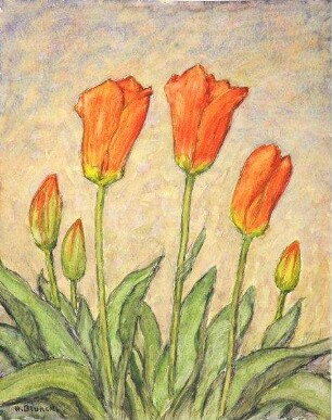 "Rote Tulpen"
