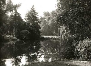 Dresden. Bürgerwiese. Goldfischteich