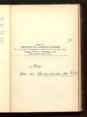 Ueber die Chordascheiden der Fische