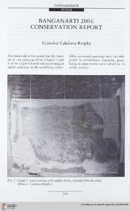 16: Banganarti 2004: conservation report