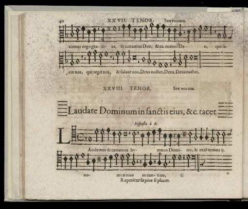 Laudate Dominum in sanctis