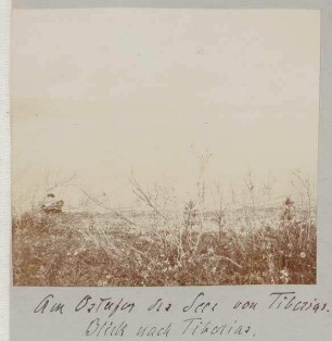 Am Ostufer des Sees von Tiberias [See Genezareth]. Blick nach Tiberias.