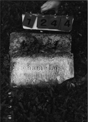 Grabstein 1244 [Hahn S. 147 Grab-Nr. 1860]