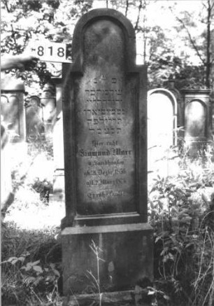 Grabstein 818