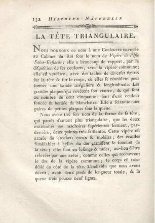 La Téte Triangulaire