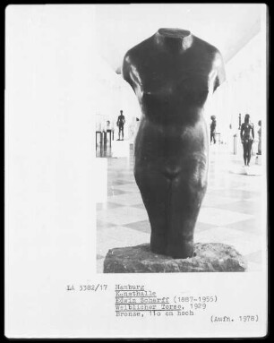 Weiblicher Torso
