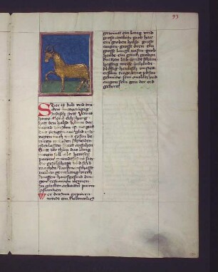 Sternbild: Stier (Taurus)