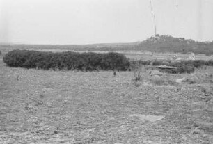 Landschaft : Blick über eine Landschaft.