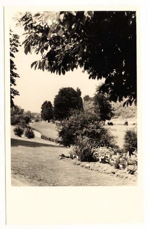 Identifizieren: Hügelige Gartenlandschaft mit Bach