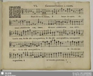 VI. Laetare de uxore