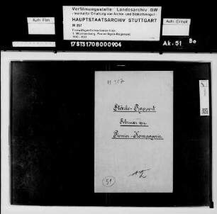 Stärkerapport der Pionier-Kompanie Februar 1919