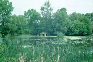 Teich